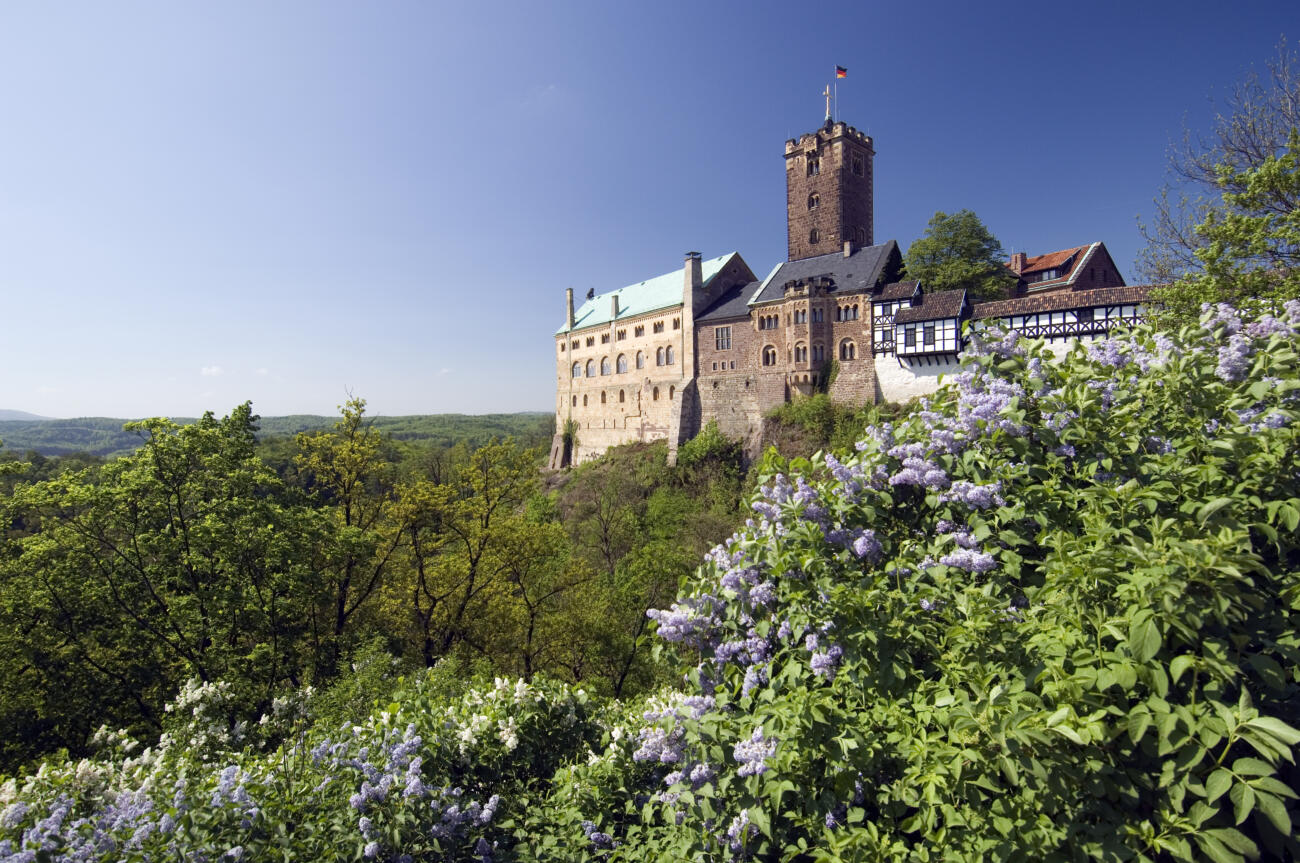 Das Bild zeigt die Wartburg, eine berühmte Burg in Thüringen, Deutschland.