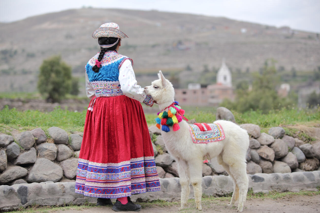 Lama mit traditioneller peruanischen Kleidung