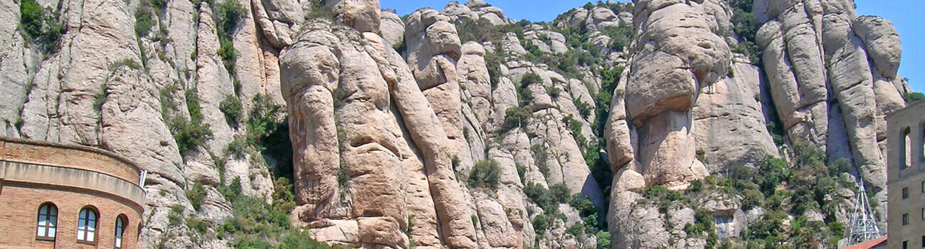 © Fotolia_olgarakhm